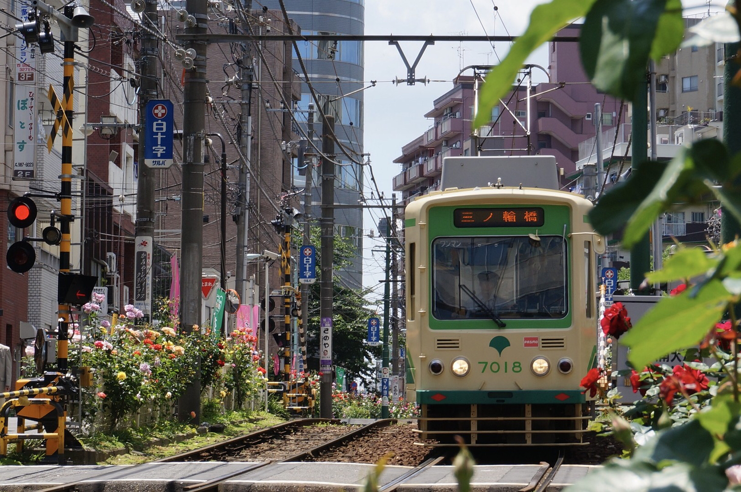 都電荒川線でぶらり旅。東京の原風景を見に行こう！