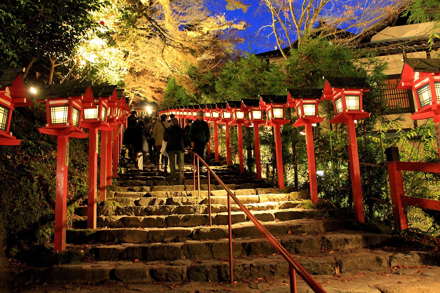 京都で訪れたい10の紅葉ライトアップ観光スポット。