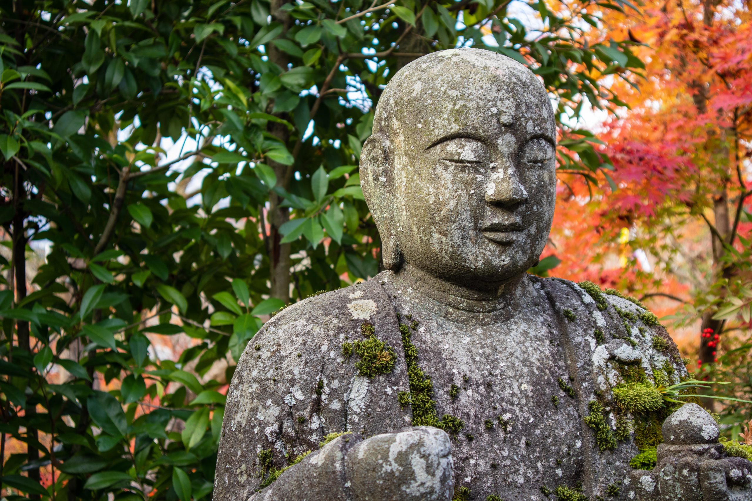 奈良を訪れたら必ず見ておきたい7つの仏像