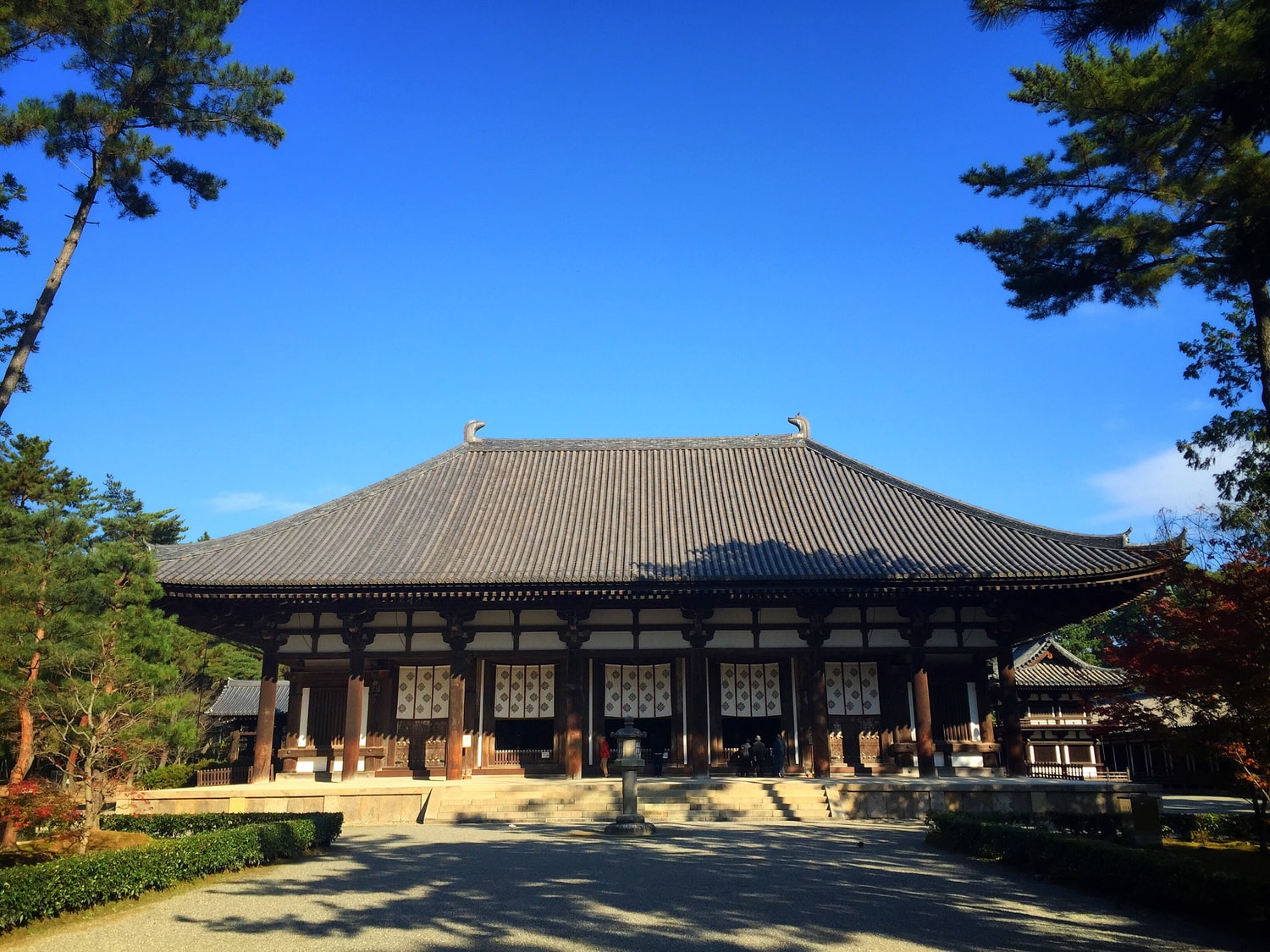 奈良を代表する観光地「唐招提寺」で鑑真の軌跡を訪ねよう